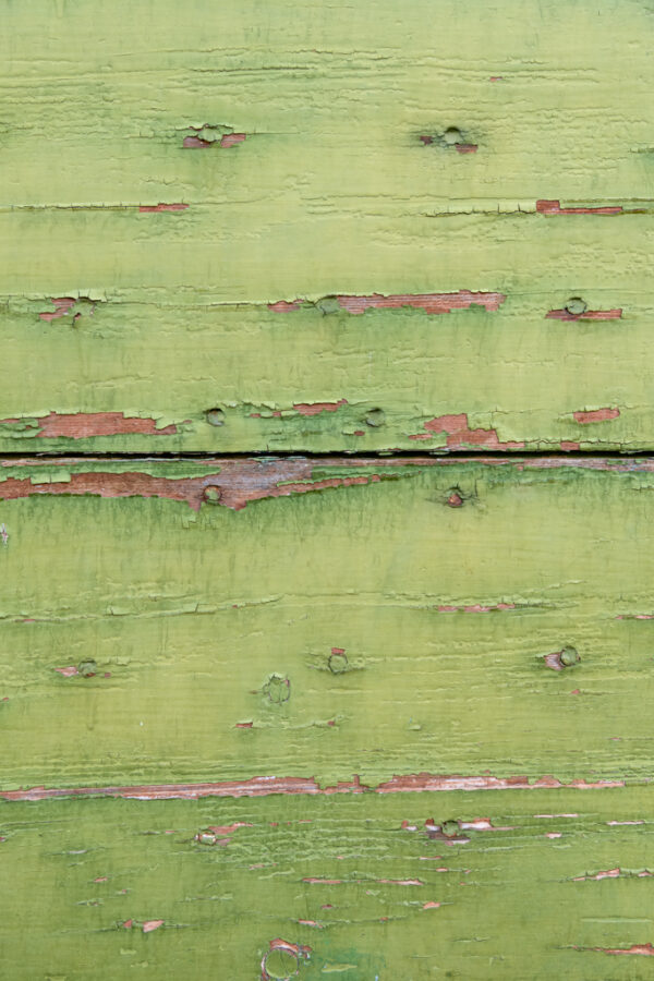 Colors of Provence Panel 10