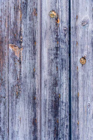 Colors of Provence Panel 14