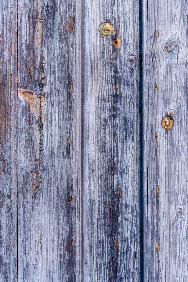 Colors of Provence Panel 14