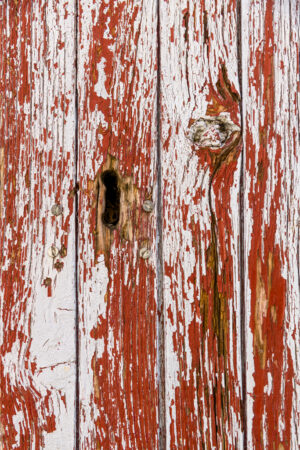 Colors of Provence Panel 18