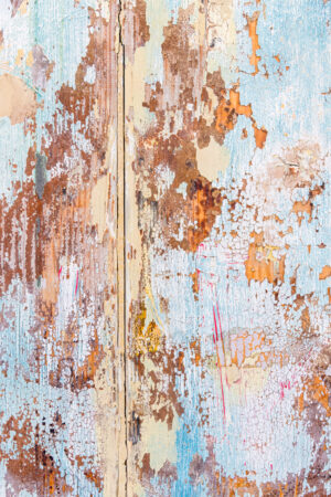 Colors of Provence Panel 31