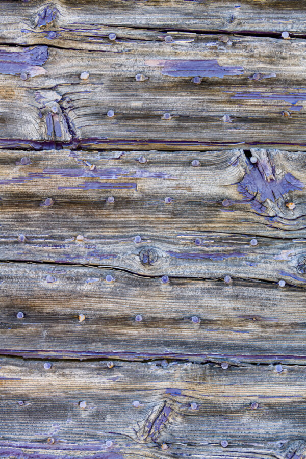 Colors of Provence Panel 7