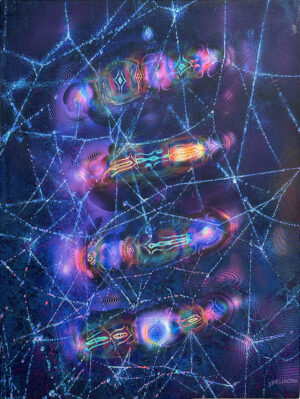Light Web