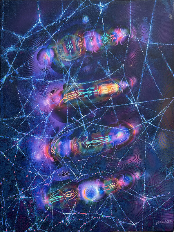 Light Web
