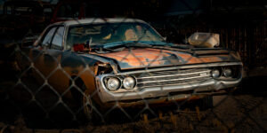 Bad, Bad Leroy Brown Badder than A Junkyard Dog,  (Jim Croce)
