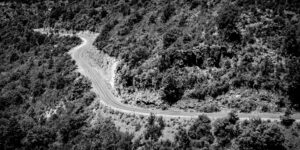 The Long and Winding Road,  The Beatles