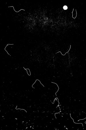 Abstraction #15