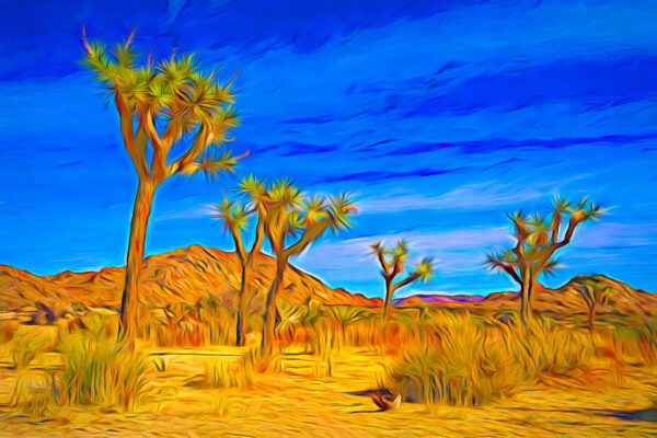 Happy Joshua Trees
