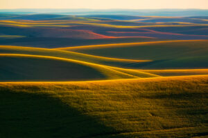 Sunset Hues in the Palouse