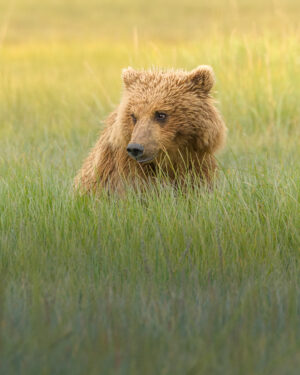 Rich Brooks - Pensive moment