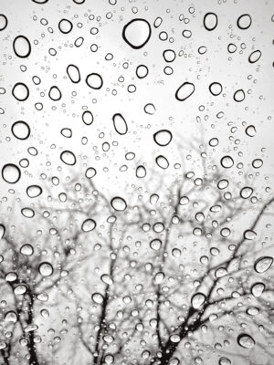 Steve Nieslony - Raindrops