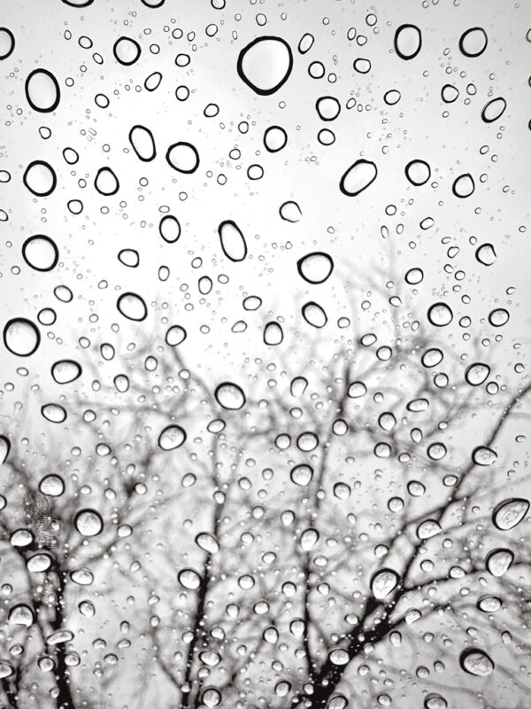 Steve Nieslony - Raindrops