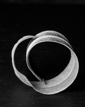 Alessandra Chaves - Oleander leaf #1, 2021