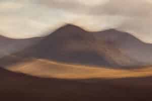 Desert Light