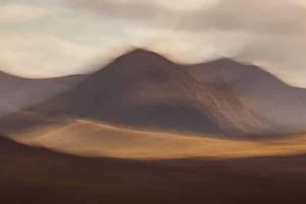 Desert Light