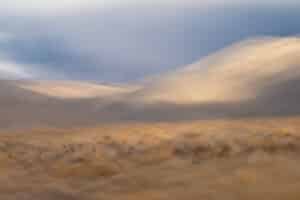Desert Shadows