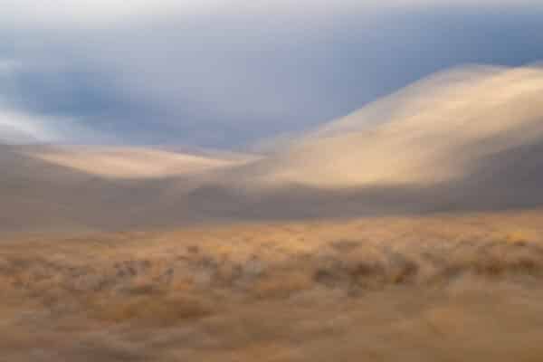 Desert Shadows