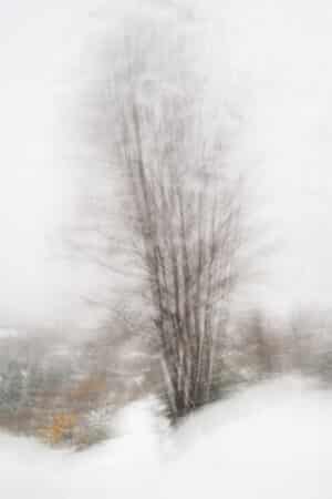 Silent Stand
