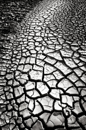 Broken Mud Trail