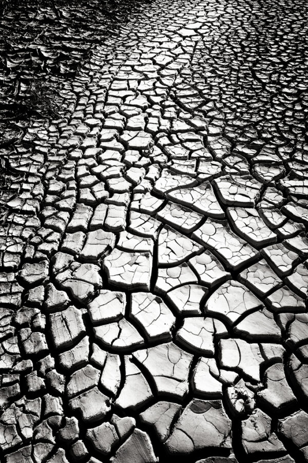 Broken Mud Trail