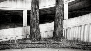 Trapped In A Parking Garage