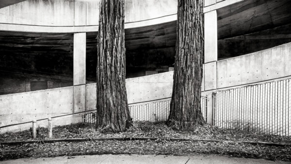 Trapped In A Parking Garage