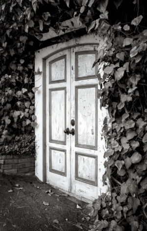 What is Behind The Door?