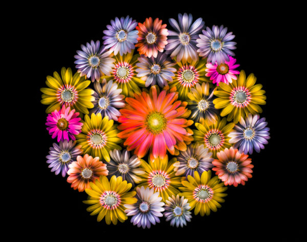 Beth Savidge - Kaleidoscope