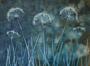 Allium Fields Forever