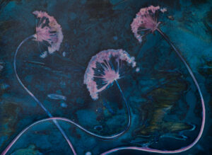 Dancing Pink Sea Alliums