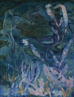 Kelp Forest