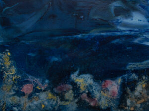 Moonlit Tidepools
