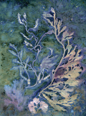 Seaweed