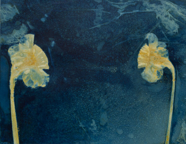 Social Distancing - Covid 19 Response