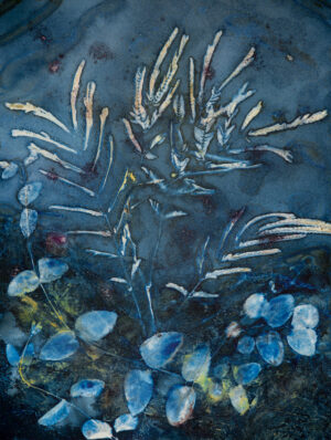 Under Water Fantasy