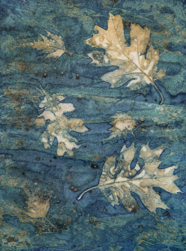 Winter Leaves and Frozen Pond