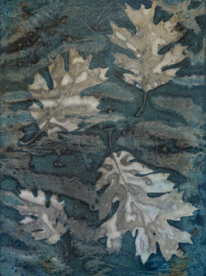 Winter Oak Leaves and Ice