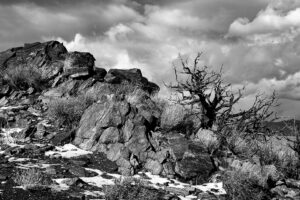 Back Country - Joshua Tree NP