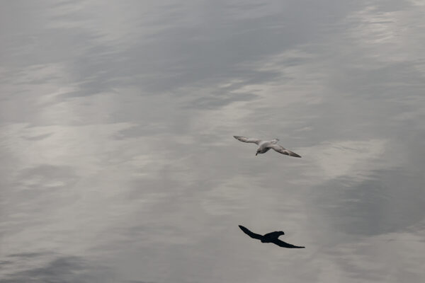 Floating