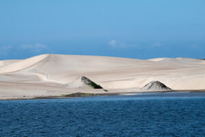 Northern Magdalena Bay Baja