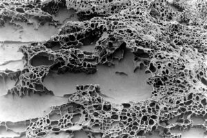Of Sand & Sea - Tafoni Sculpture