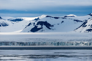 Silky Arctic Night