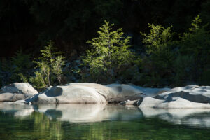 Stream at Rest
