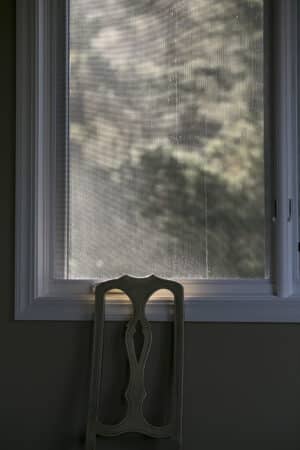 Laszlo Bencze - Forget Me Not