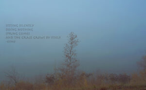 Sabina Zildzic - Silence
