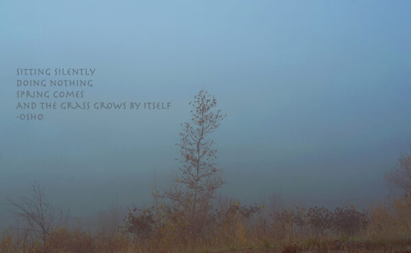Sabina Zildzic - Silence