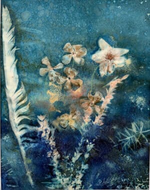 Rhonda Campbell - Wild Roses
