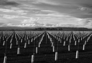 Alan Fishleder - Storm Brews Over Farmland Geometry
