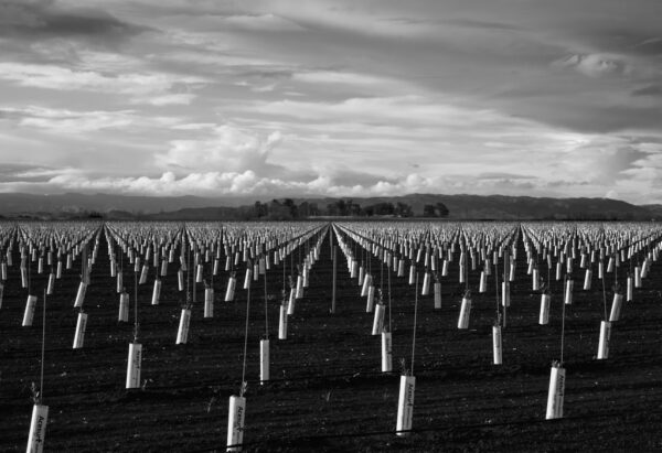 Alan Fishleder - Storm Brews Over Farmland Geometry