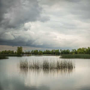 Mark Howell - Pond, Reeds, Storm Clouds